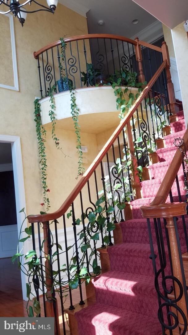 Building Photo - 22506 Forest Manor Dr