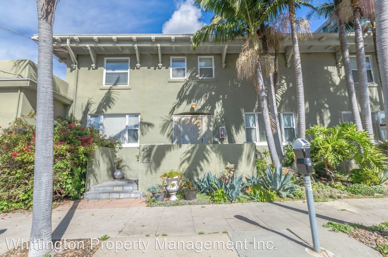Primary Photo - 430 Olive St