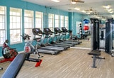Located at 4501 71st St in Lubbock, Texas, this fitness center offers a well-equipped, single-floor workout facility designed to support a wide range of exercise routines. The space is immediately distinguished by its bold teal walls, which lend a vibrant and energizing atmosphere throughout. Durable wood-look flooring runs the length of the room, providing a practical and visually clean surface underfoot.

Full-length mirrors line an entire wall, visually expanding the space and allowing users to monitor their form during workouts. Natural light flows in generously through multiple large windows along the opposite wall, offering views of the outdoor surroundings and keeping the environment bright and inviting. Overhead fluorescent lighting supplements the natural light, ensuring consistent illumination throughout all hours.

The cardio zone features a row of treadmills, a stationary spin bike, and a rowing machine, all positioned to face the windows. The strength training area is well-stocked with a cable machine, an adjustable weight bench, a full dumbbell rack, and a variety of medicine balls and exercise balls on dedicated stands. French-style glass doors provide access points that connect the fitness center to adjacent areas, adding to the open, airy feel of the space. Overall, this facility provides a comprehensive and comfortable environment for fitness pursuits.