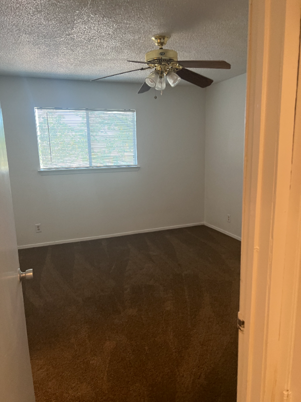 Building Photo - 155 Sprucewood Ln