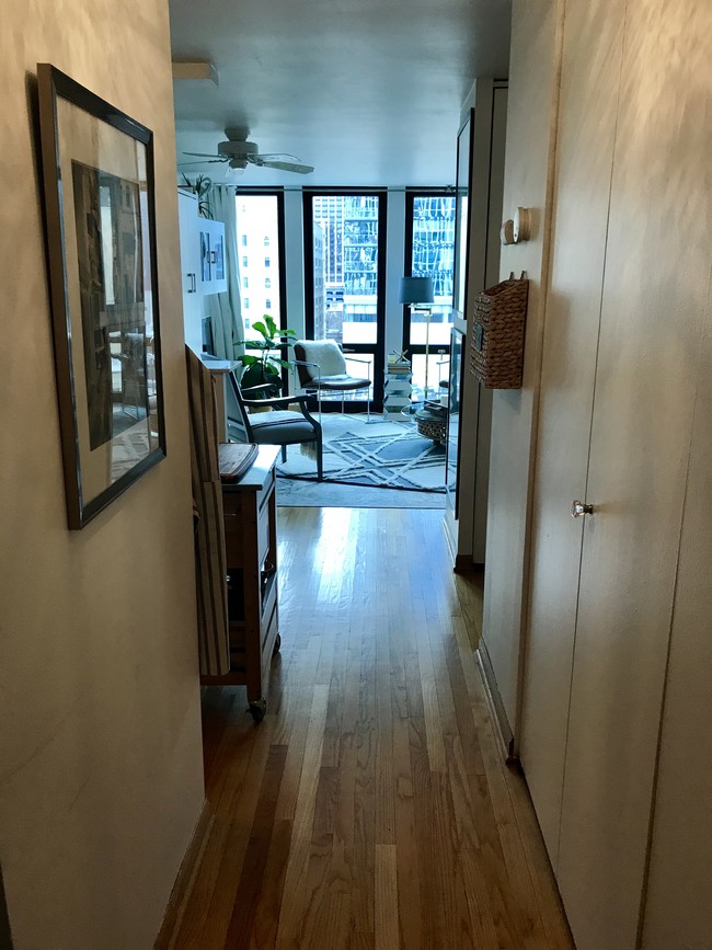 Hallway entrance with three large closets - 1 E Scott St