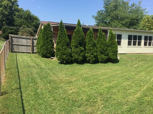 Backyard - 4912 Angelia Dr