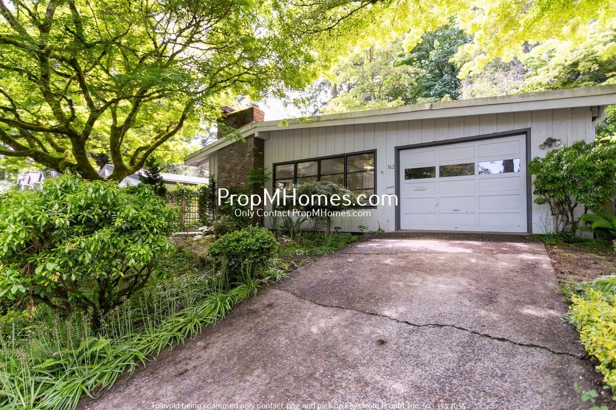 Primary Photo - Two Bedroom Oasis in First Edition!