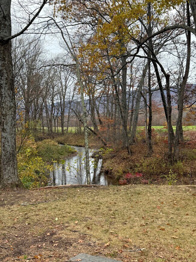 patio trasero - 4387 NY-32