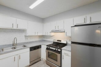 Interior Photo - The Social Apartments