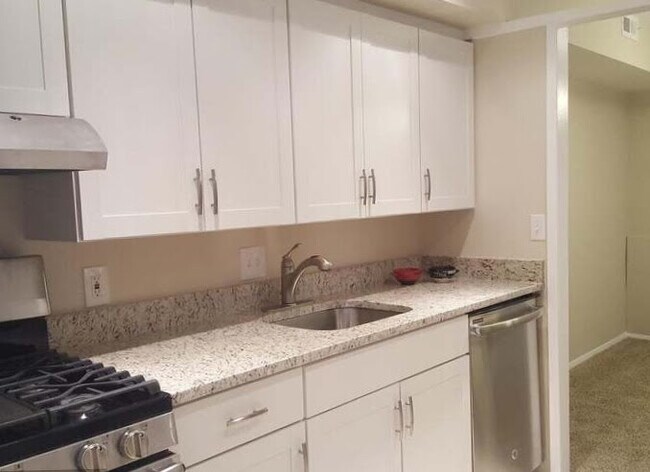 Kitchen w/granite countertops - 7501 Spring Lake Dr