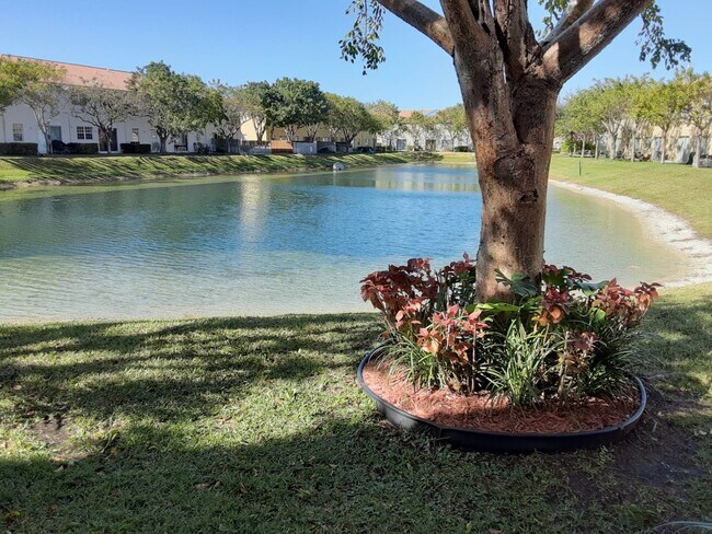Yard - 2155 NE 3rd Ct