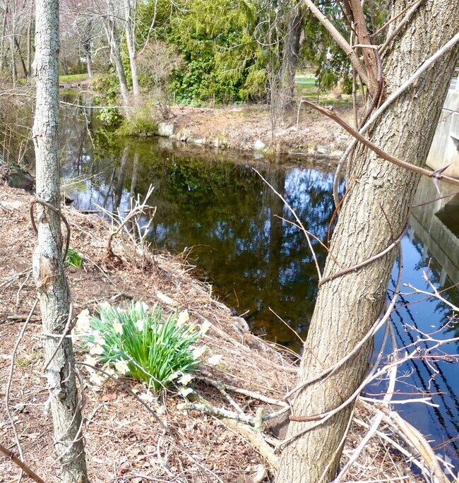 Apartments For Rent in Deep River CT with Hardwood Floors 2 Rentals