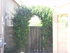 Building Photo - SANTA RITA RANCH - VAIL SCHOOL DISTRICT