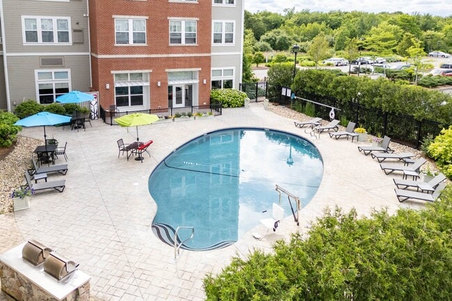 Building Photo - The Commons at SouthField