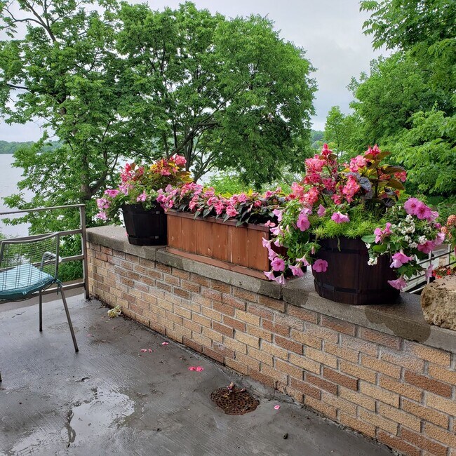 Building Photo - Beautiful Apartment with Gas fireplace on Lake Harriet