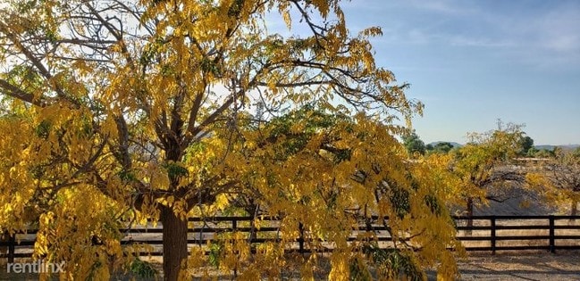 Building Photo - 41035 Cactus Valley Rd