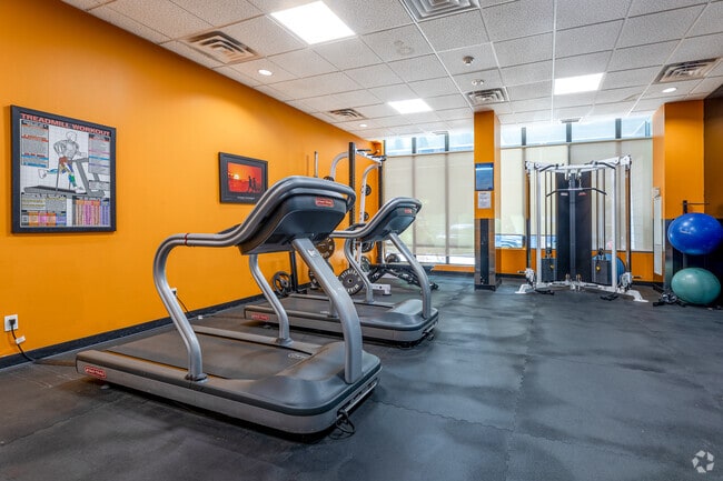 Gym - WestQ