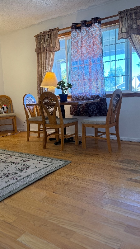 Foto del edificio - 1377 Fallen Leaf Dr