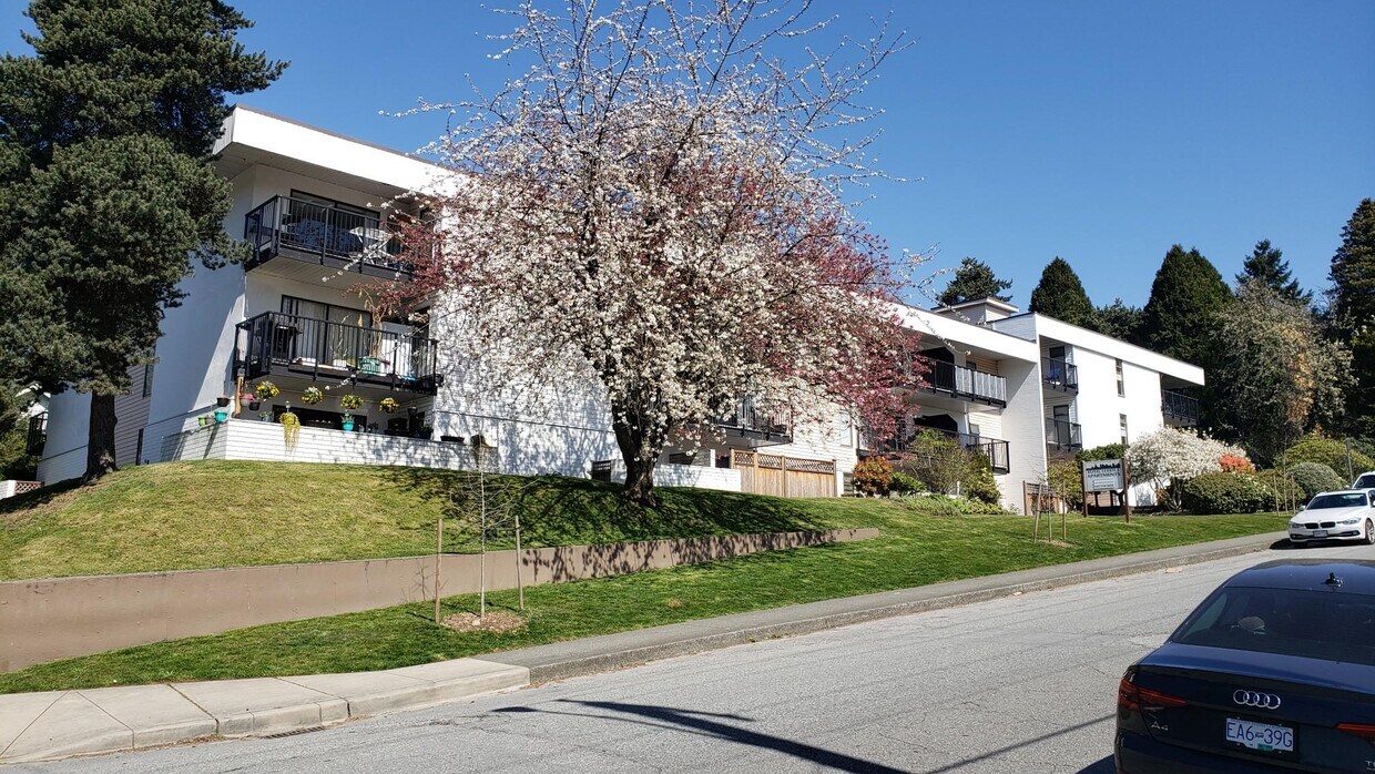 Primary Photo - Royal Terrace Apartments