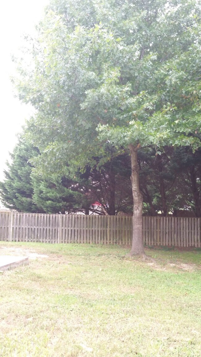Backyard - 45528 Coosan Ct