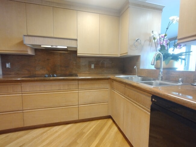 Granite counters & custom shelving - 121 S Hope St