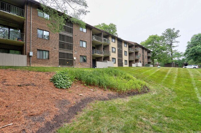 Foto del edificio - 1BD/1BA - Great Condo in Columbia