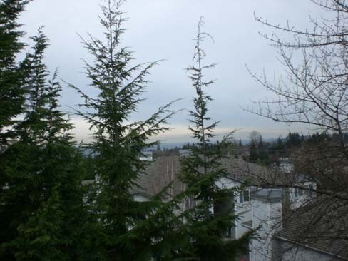 Building Photo - Highlands Ridge Apartments