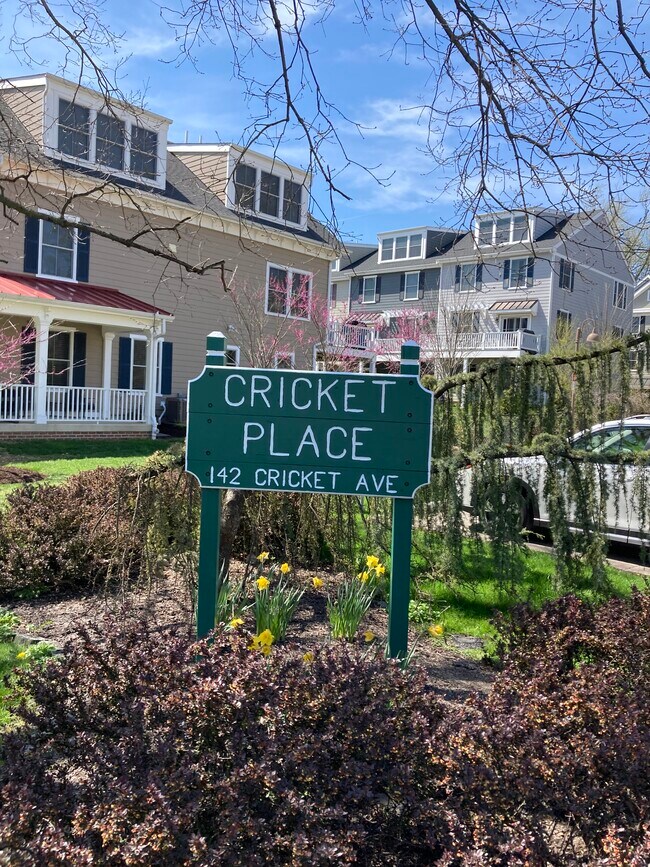 142 Cricket Ave Unit D, Ardmore, PA 19003 Condo for Rent in Ardmore