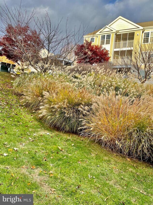 Building Photo - 12008 Amber Ridge Cir