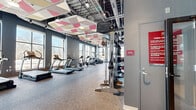 Located on Massachusetts Ave in Amherst, MA, this contemporary fitness center offers a well-appointed, single-floor layout designed to accommodate a full range of workout needs. The main exercise floor is generously sized, featuring durable speckled rubber flooring and soaring ceilings with exposed ductwork that give the space an open, industrial-modern character. A distinctive geometric ceiling installation of colorful acoustic panels in pink, gold, and gray adds a bold visual element while supporting sound management throughout the space. Large windows line the perimeter, flooding the floor with natural light and providing views of the surrounding streetscape. The main area is equipped with a row of True-brand treadmills and elliptical machines positioned along the windows, as well as a comprehensive strength training zone featuring cable machines, a power rack, free weights, kettlebells, medicine balls, and adjustable benches. A striking geometric mural serves as a focal backdrop to the functional training area. A separate room with light hardwood flooring and glass-panel access doors provides a flexible space for group training or functional fitness activities. The overall ambiance is modern, energetic, and well-lit, making it a fully equipped facility suited for diverse fitness routines.