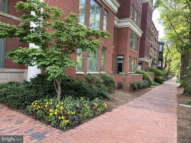 Foto del edificio - 955 26th St NW