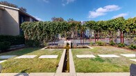This thoughtfully designed outdoor courtyard in Austin, TX offers a well-composed landscape that balances hardscape and greenery. A central water feature serves as the focal point, with a linear channel extending outward from a raised basin, flanked by concrete pavers set into manicured grass. River rocks and ornamental grasses are integrated throughout the planting beds, adding natural texture and visual interest.

A striking vine-covered trellis structure frames the rear boundary, supported by bold red metal posts and draped with lush climbing greenery that creates a verdant, living wall effect. The overall design draws the eye toward this backdrop, lending a sense of enclosure and intimacy to the space.

Concrete patio areas provide firm, level surfaces throughout, with Adirondack-style seating positioned to take advantage of the views across the lawn. Mature oak trees at the perimeter provide natural shade and a classic Austin aesthetic. Layered plantings, including ornamental grasses, low shrubs, and seasonal plantings, add depth and year-round color.

The courtyard's design prioritizes open-air relaxation and community interaction, offering a peaceful outdoor retreat beneath the Texas sky.