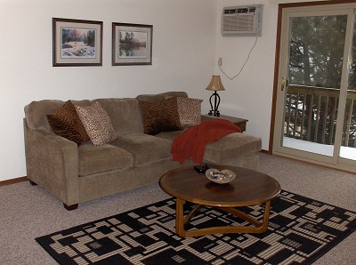 living room - 214 Dix Rd