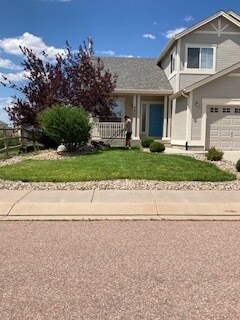 primer plano del césped - 9904 Antler Creek Dr
