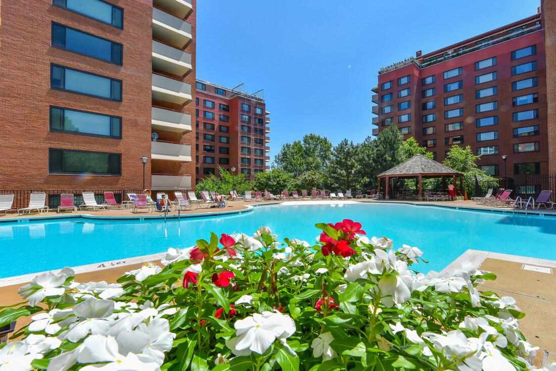 Foto principal - 1011 Arlington Blvd