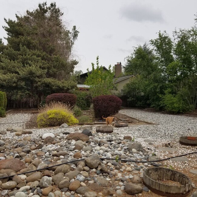 Foto del edificio - 3 br, 2 bath House - 201 D Street NE