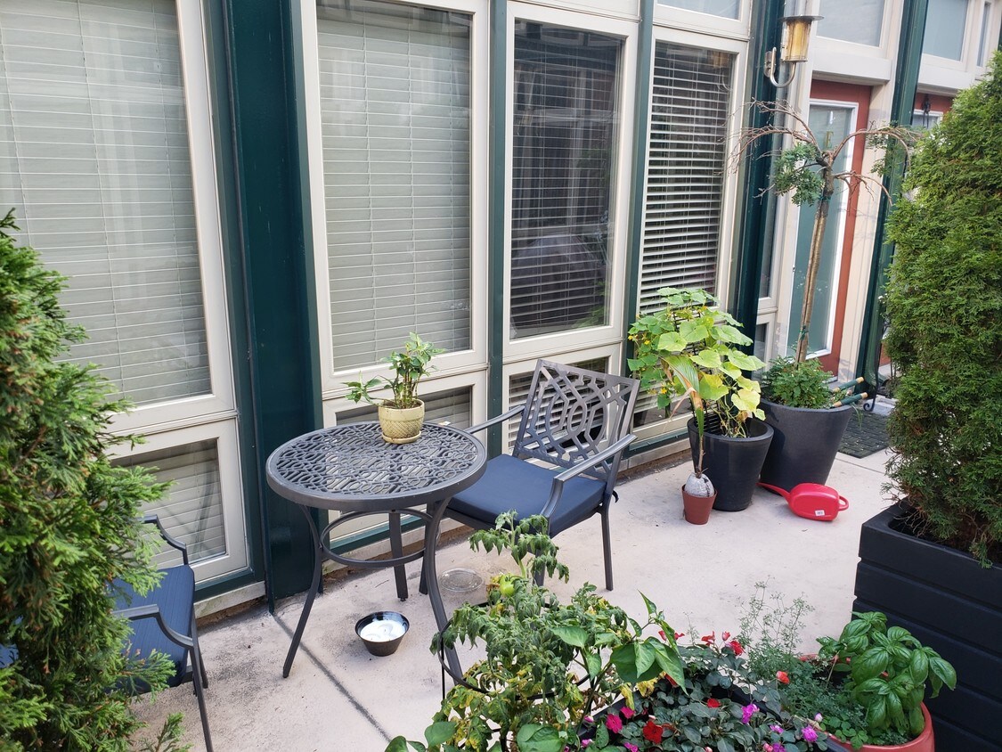 Front entry - 1446 S Michigan Ave