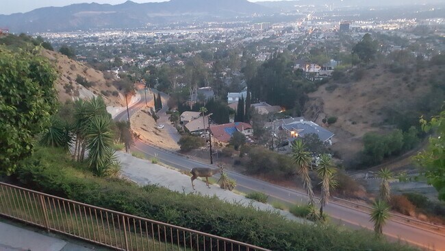 Foto del edificio - 1751 Cam De Villas