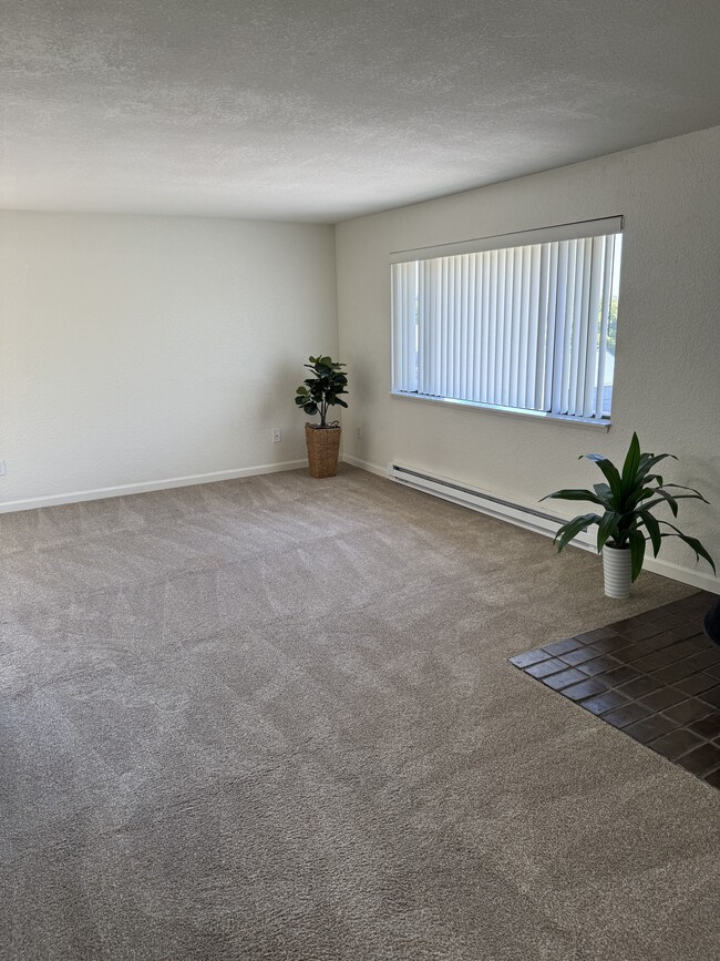 Living Room - Wellsforth Apartments
