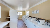 This single-floor communal laundry facility is designed with practicality and efficiency in mind. The room features a generous row of top-load washing machines lined along one wall, complemented by a bank of stacked dryers along the opposite side, providing ample capacity for multiple users simultaneously. The space is finished with warm yellow-toned walls accented by crisp white crown molding, lending a clean and welcoming atmosphere. Light tile flooring runs throughout, making maintenance straightforward and keeping the environment bright. Natural light filters in through multiple windows positioned along the walls, reducing the reliance on artificial lighting and creating an airy, pleasant setting. Overhead lighting ensures the space remains well-lit at all times. A wooden folding or utility counter runs along one wall, offering a convenient surface for sorting and folding laundry. Informational postings are mounted near the machines, providing users with clear instructions and usage guidelines. The overall layout is thoughtfully organized to allow comfortable movement between machines, making this laundry facility a functional and user-friendly amenity.