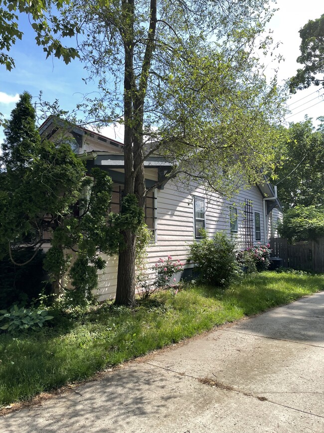 Building Photo - 209 Buena Vista Ave