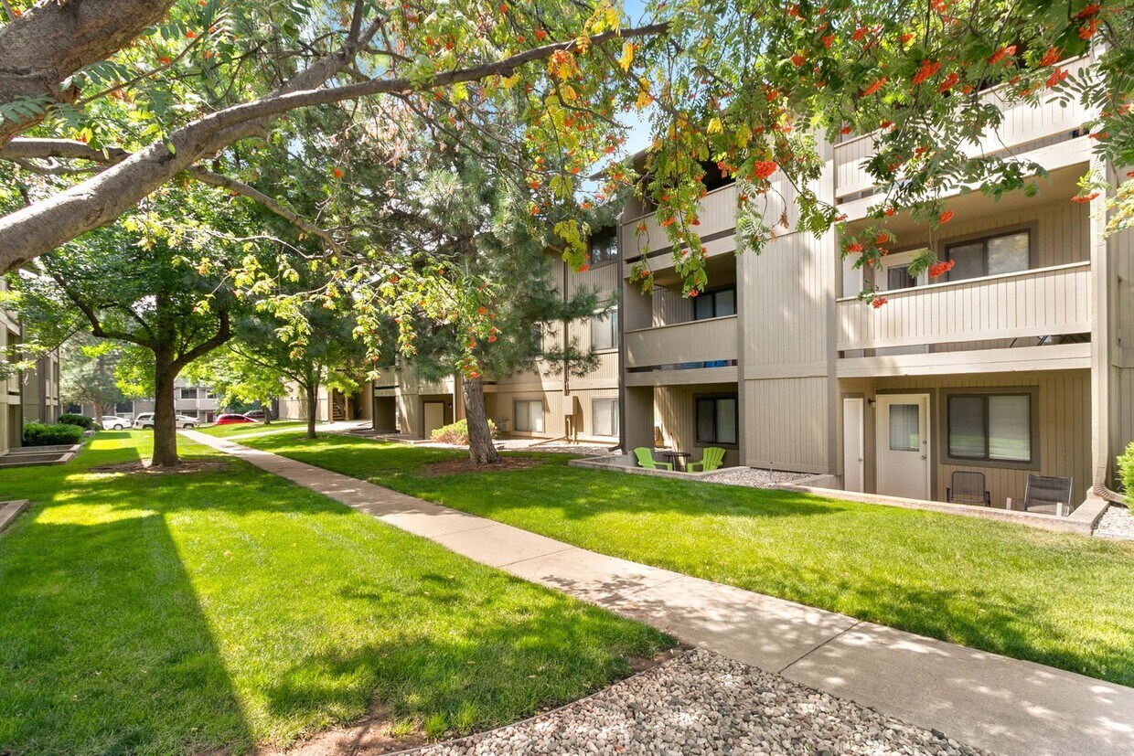 Primary Photo - Great Condo near CSU