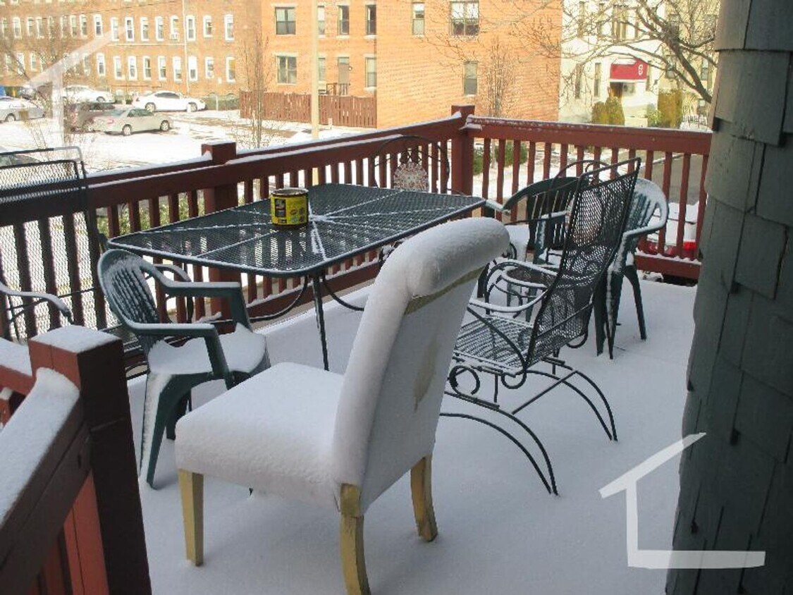 Primary Photo - Luxury Apartment at Coolidge Corner. No Fe...
