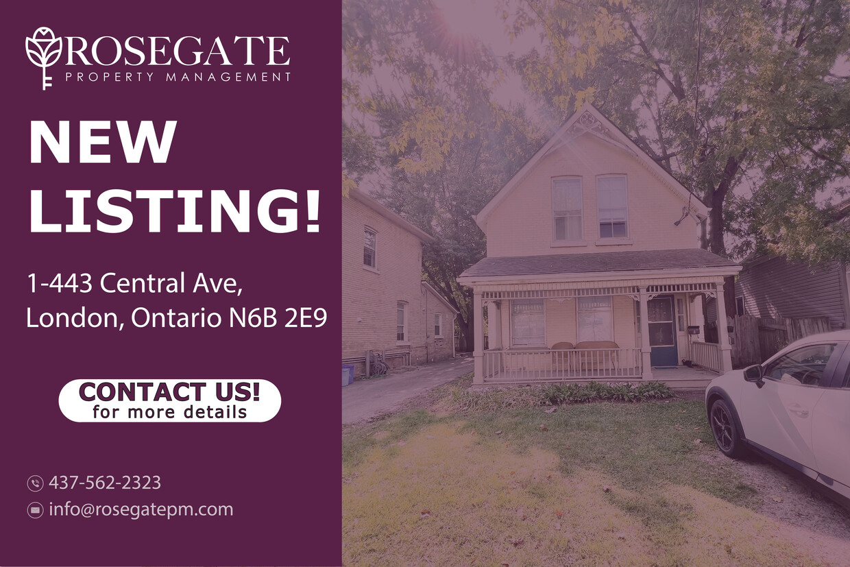 Primary Photo - Charming 1-Bedroom, 1-Bath Apartment in Ce...
