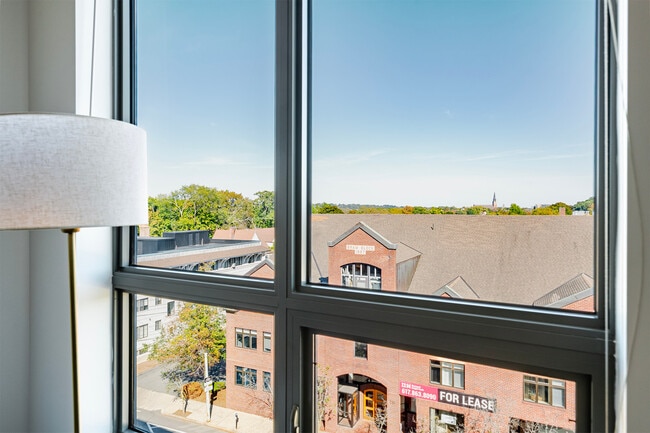 Building Photo - 245 Walnut St