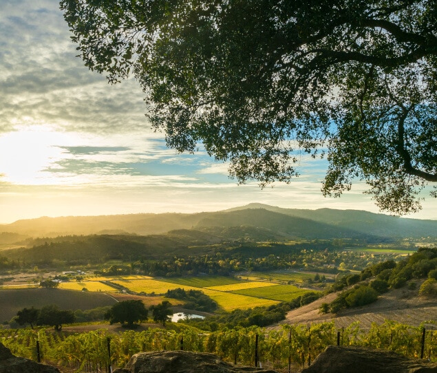 Sunset in Sonoma