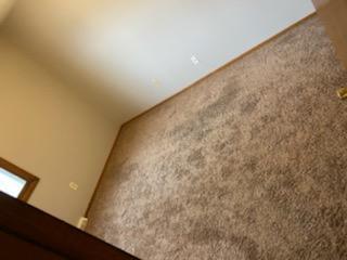 bedroom - 1860 Evans St