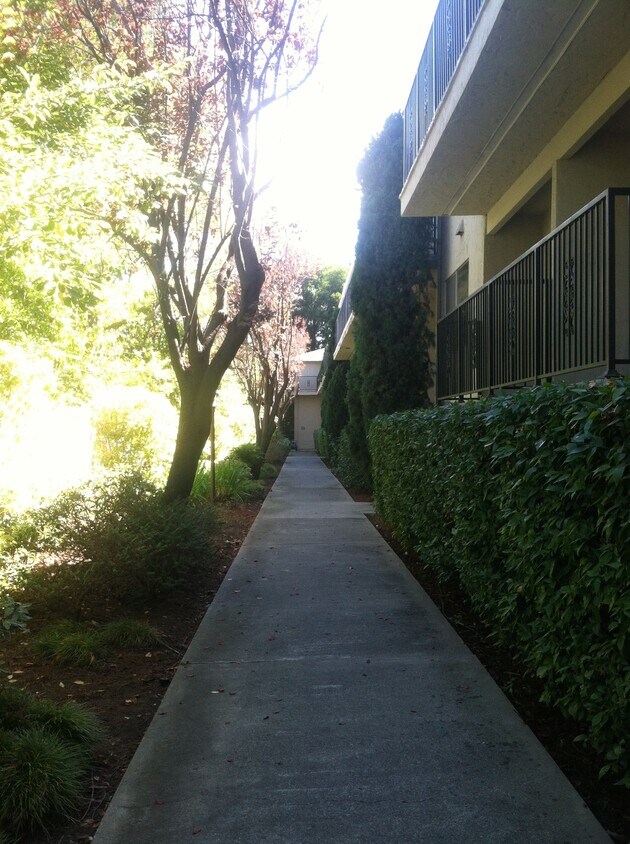 443 Ventura Ave walkway - 443 Ventura Ave