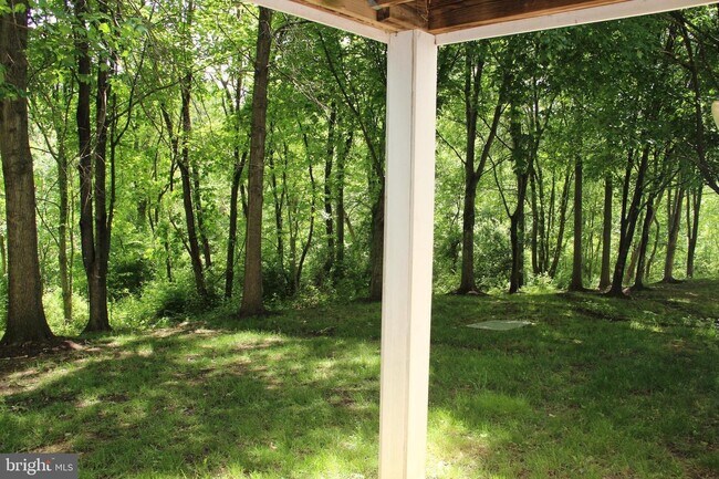 Foto del edificio - 12904 Churchill Ridge Cir