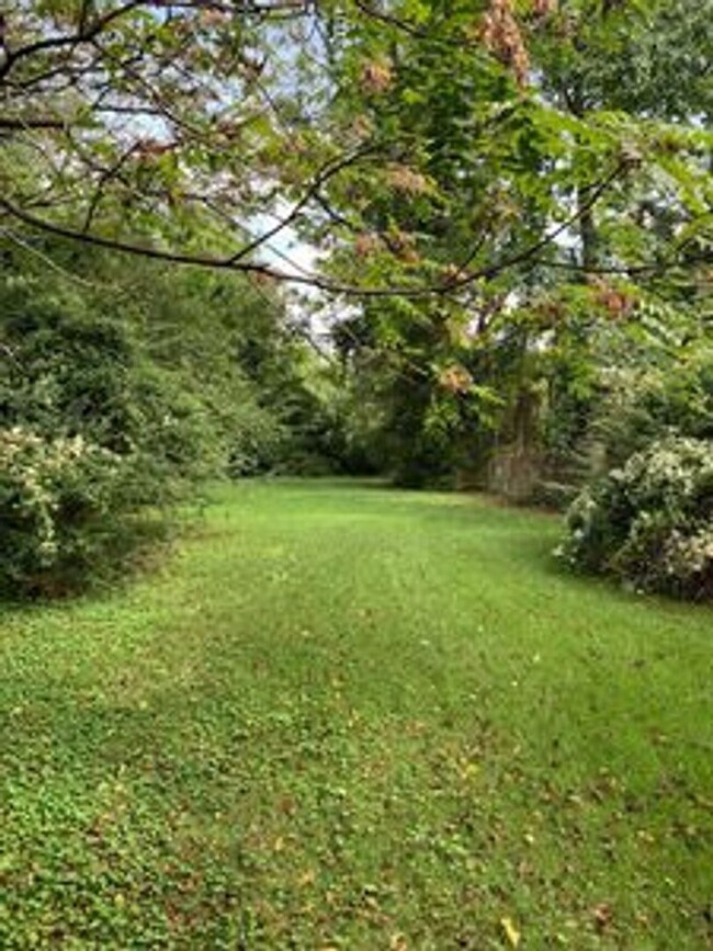 Foto del edificio - 2 bed house w Laundry, All electric, central HVAC, fenced yard, hardwoods