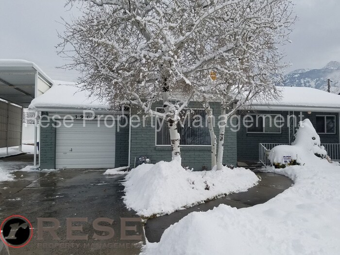 Primary Photo - 3909 S Birch Dr