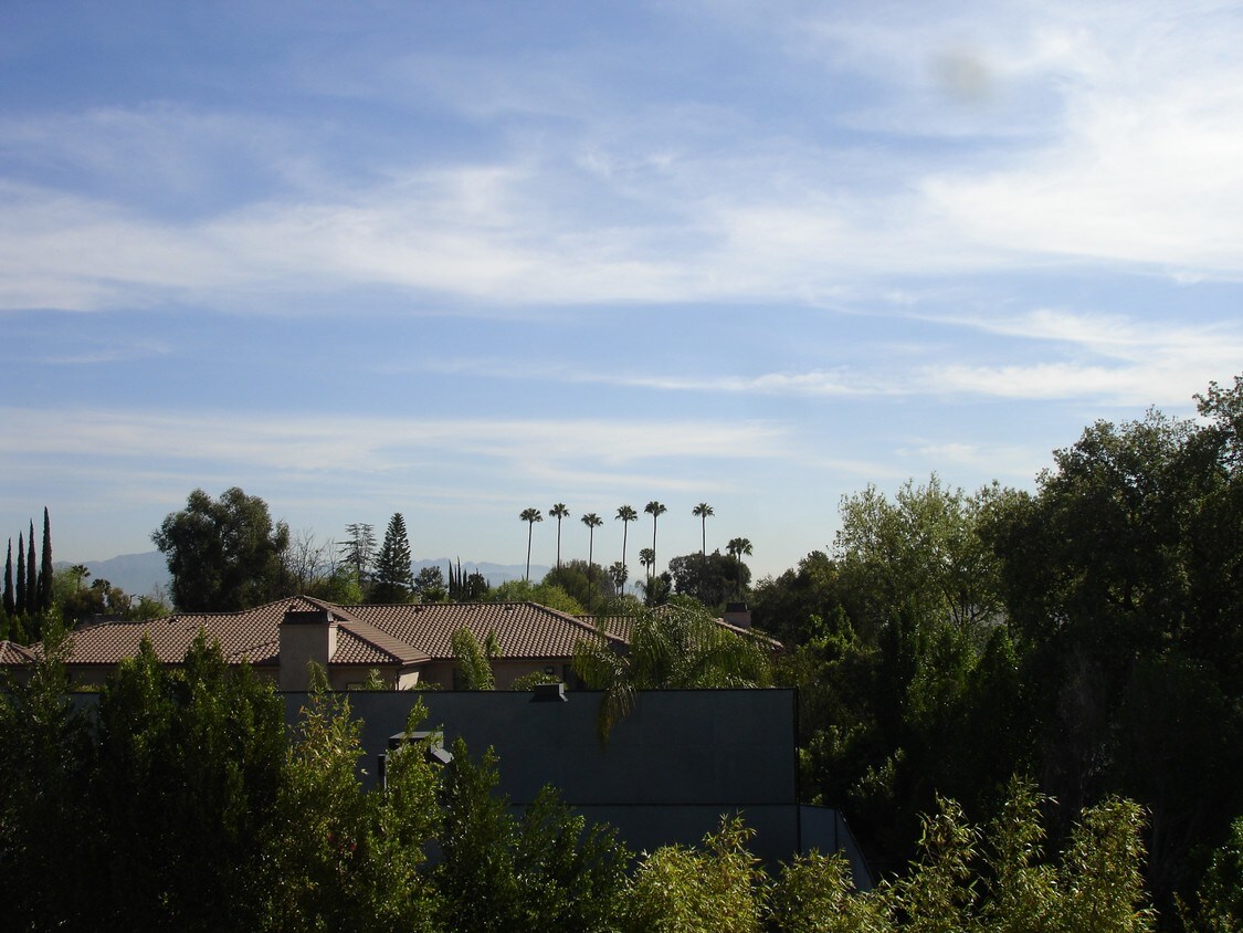 5460 White Oak Ave Encino Ca Condo For Rent In Encino Ca Apartments Com