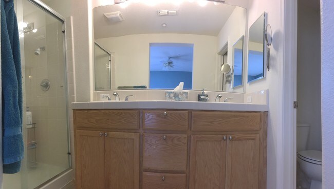 Master bath - 3265 Monaghan St