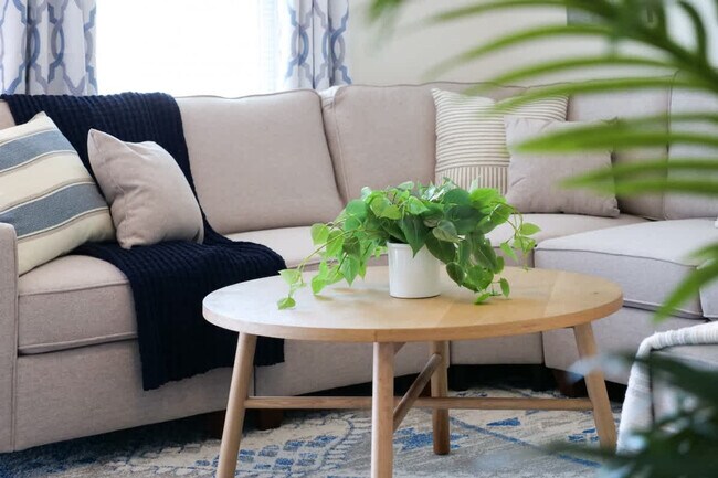 Foto del edificio - 415 Short St